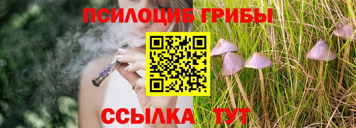 Псилоцибиновые грибы Cubensis  Вход с VPN  Ачхой-Мартан 